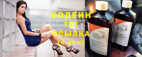 стафф Корсаков