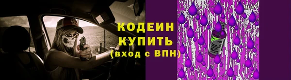 прущие крисы Коряжма