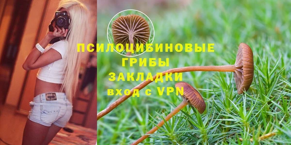 прущие крисы Коряжма