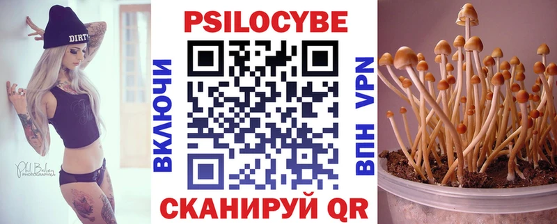 где купить наркоту  Красноперекопск  Галлюциногенные грибы прущие грибы 